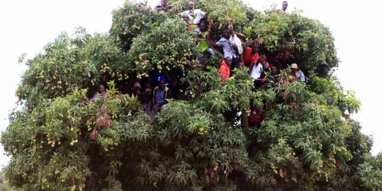 Uganda Excels in Round One of the FIM East and Central Africa Motocross Challenge (CAC) at Busiika